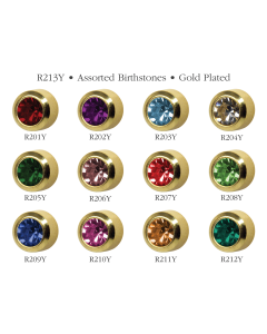 Studex-Regular Gold Plated Bezel Assorted January-December R213Y-12 Pack