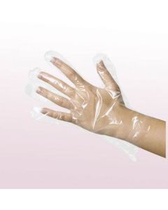 Disposable Polythene Gloves (100)