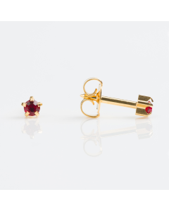 Studex-  Regular Gold Plated Tiffany January Garnet 12 Pack- R101Y