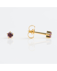 Studex- Regular February Amethyst Gold Plated R102Y- 12 Pack